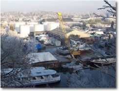 Website Fully Launched